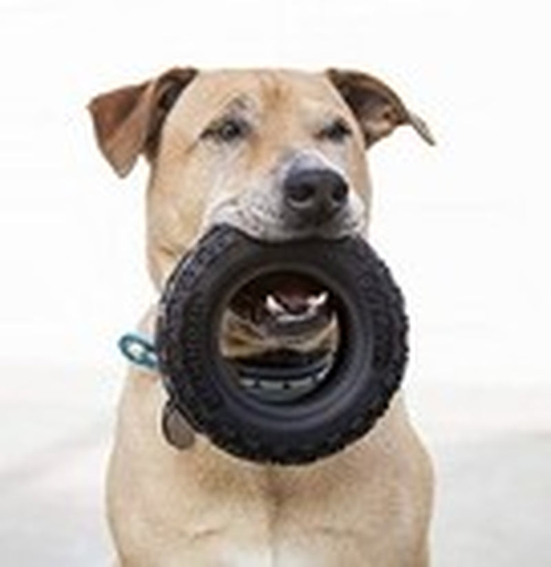 Large 6 Inch Tire Shape Rubber Dog Toy for Extreme Chewers Interactive Fun
