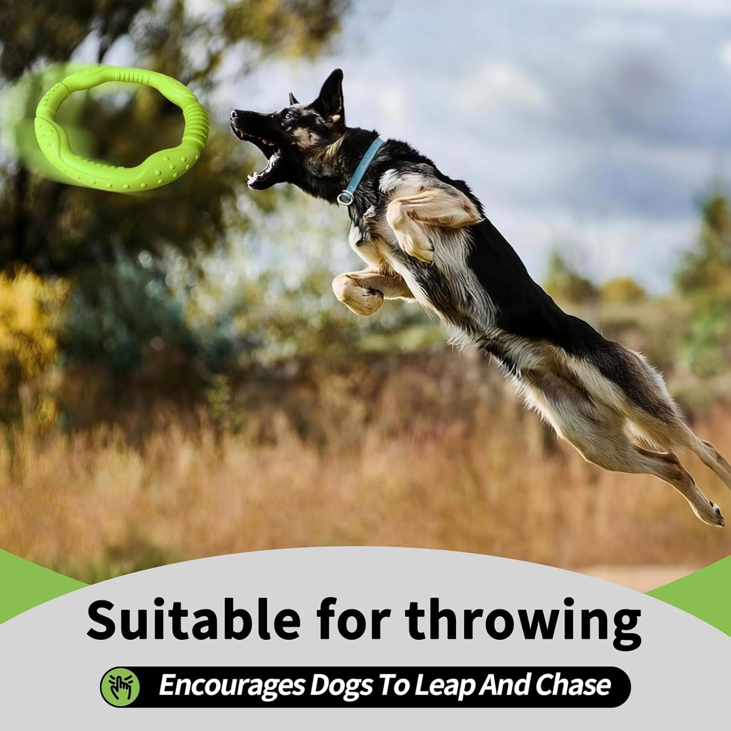 Dog Ring Toy - Durable Flying Ring for Fetch, Water Play & Training | Tough Chew-Proof Design for Aggressive Chewer Breeds, Easy-Throw Lightweight Frisbee for Medium/Large Dogs(Green/30Cm)