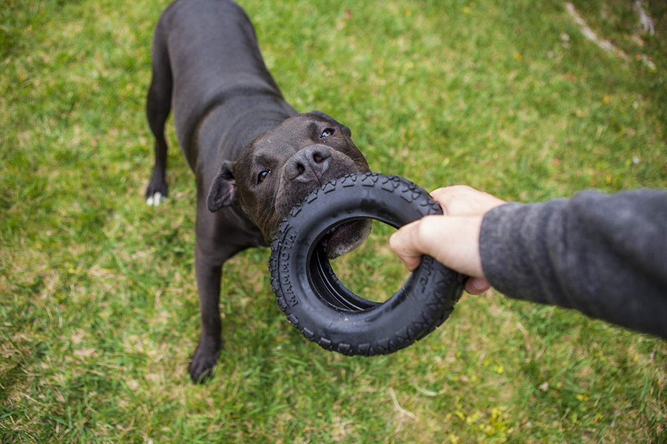 Large 6 Inch Tire Shape Rubber Dog Toy for Extreme Chewers Interactive Fun