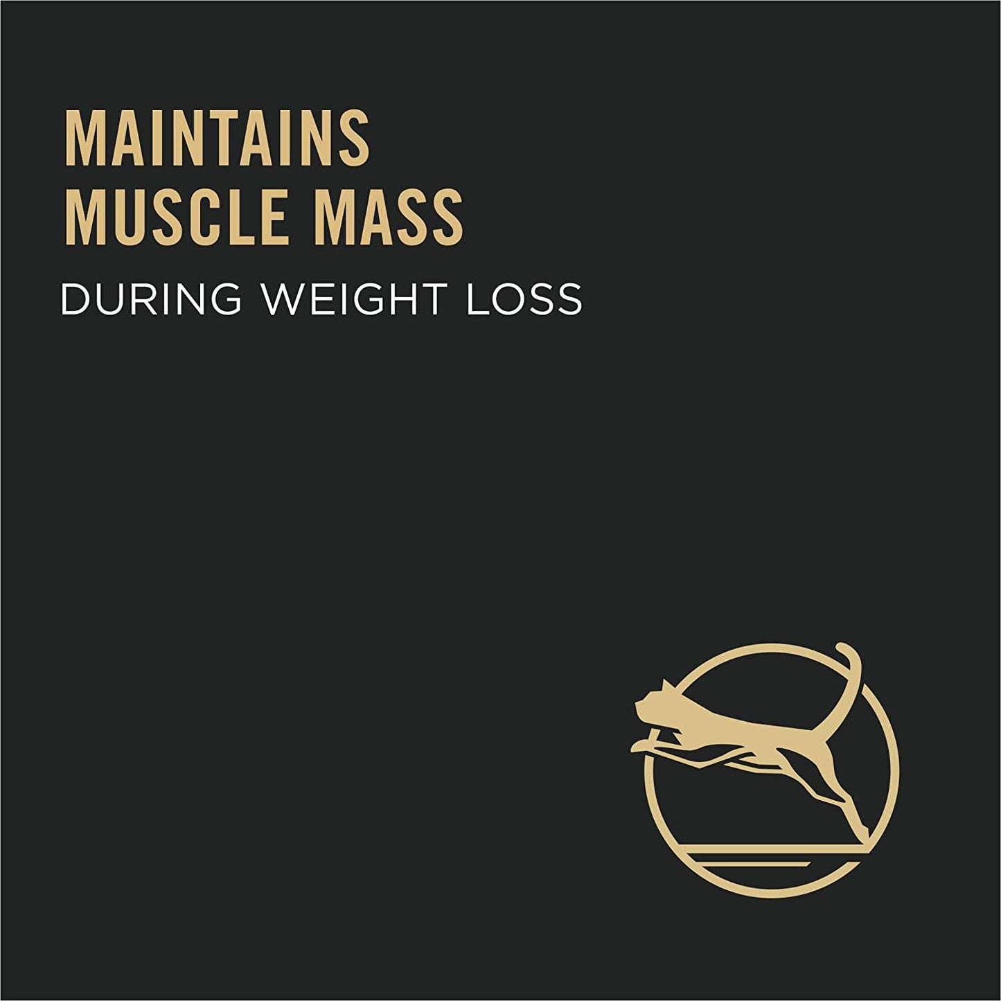 Liveclear Cat Food Weight Management and Cat Allergen Reducer Chicken and Rice Formula - 5.5 Lb. Bag